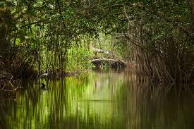 Sundarbans, West Bengal