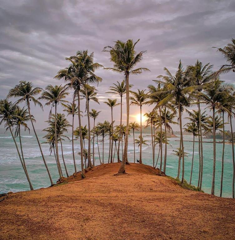 Mirissa
